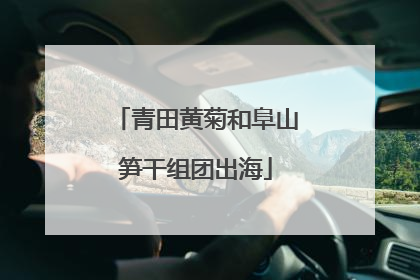 青田黄菊和阜山笋干组团出海