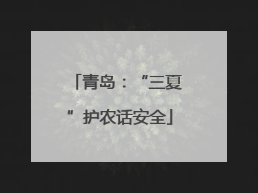 青岛：“三夏”护农话安全