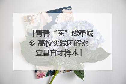 青春“医”线牵城乡 高校实践团解密宜昌育才样本
