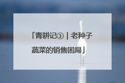 青耕记③｜老种子蔬菜的销售困局