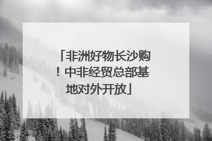 非洲好物长沙购！中非经贸总部基地对外开放