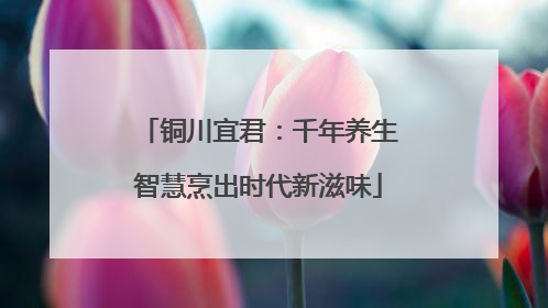 铜川宜君：千年养生智慧烹出时代新滋味