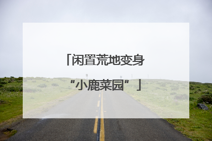 闲置荒地变身“小鹿菜园”