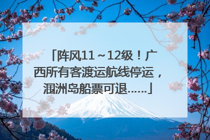 阵风11～12级！广西所有客渡运航线停运，涠洲岛船票可退……