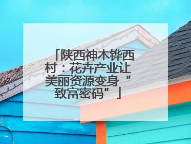 陕西神木铧西村：花卉产业让美丽资源变身“致富密码”