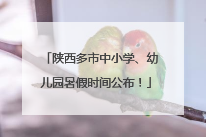陕西多市中小学、幼儿园暑假时间公布！