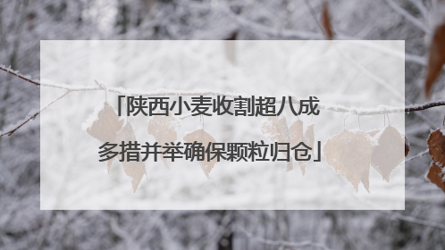 陕西小麦收割超八成 多措并举确保颗粒归仓