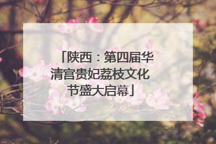 陕西：第四届华清宫贵妃荔枝文化节盛大启幕