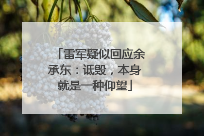 雷军疑似回应余承东：诋毁，本身就是一种仰望
