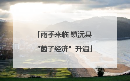 雨季来临 镇沅县“菌子经济”升温