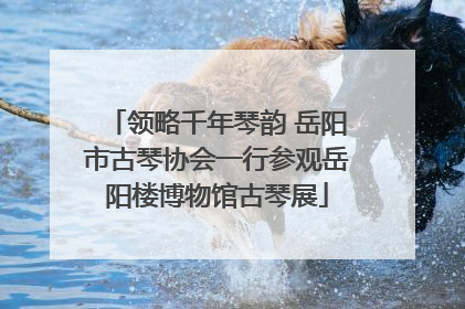 领略千年琴韵 岳阳市古琴协会一行参观岳阳楼博物馆古琴展