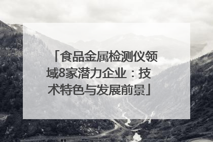 食品金属检测仪领域8家潜力企业：技术特色与发展前景