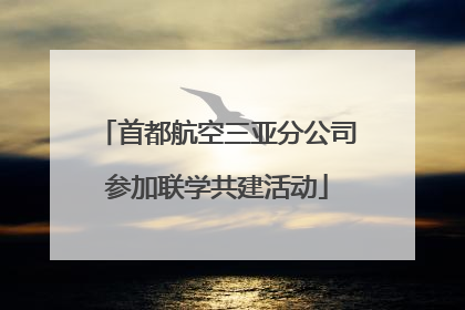 首都航空三亚分公司参加联学共建活动