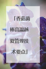 香菇菌棒高温越夏管理技术要点