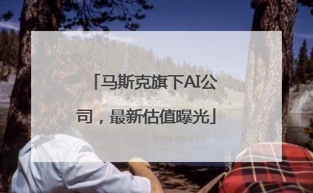 马斯克旗下AI公司，最新估值曝光