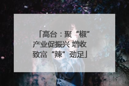 高台：聚“椒”产业促振兴 增收致富“辣”劲足