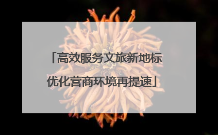 高效服务文旅新地标 优化营商环境再提速