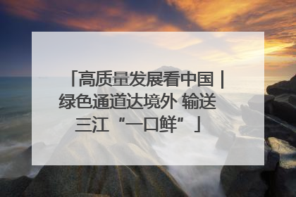 高质量发展看中国｜绿色通道达境外 输送三江“一口鲜”