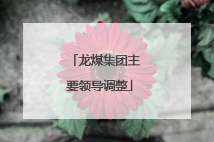 龙煤集团主要领导调整