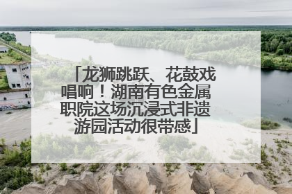 龙狮跳跃、花鼓戏唱响！湖南有色金属职院这场沉浸式非遗游园活动很带感