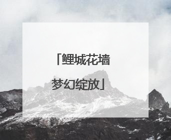 鲤城花墙 梦幻绽放