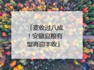 麦收过八成！安徽夏粮有望再迎丰收