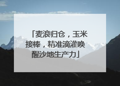 麦浪归仓，玉米接棒，精准滴灌唤醒沙地生产力