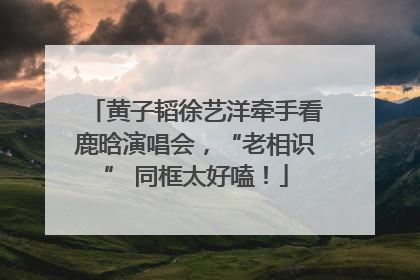 黄子韬徐艺洋牵手看鹿晗演唱会，“老相识” 同框太好嗑！