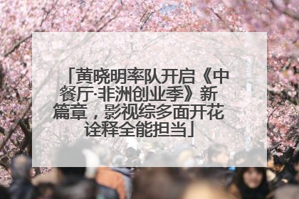黄晓明率队开启《中餐厅·非洲创业季》新篇章，影视综多面开花诠释全能担当