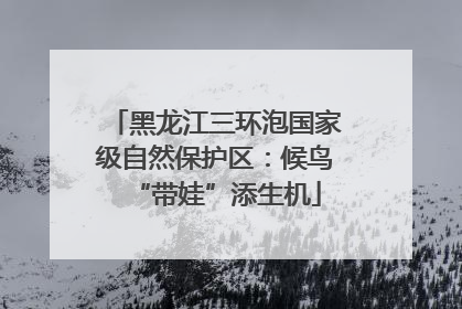 黑龙江三环泡国家级自然保护区：候鸟“带娃”添生机