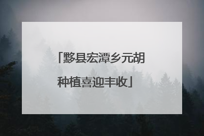 黟县宏潭乡元胡种植喜迎丰收