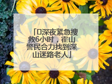 ﻿深夜紧急搜救6小时，霍山警民合力找到深山迷路老人
