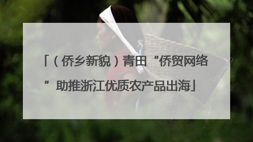 （侨乡新貌）青田“侨贸网络”助推浙江优质农产品出海