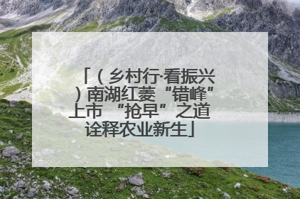 （乡村行·看振兴）南湖红菱“错峰”上市 “抢早”之道诠释农业新生