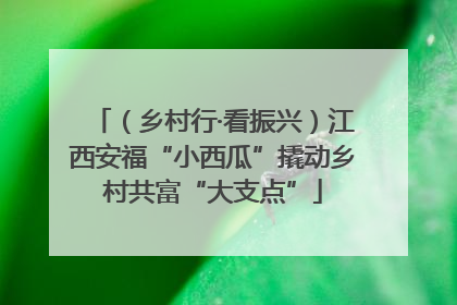 （乡村行·看振兴）江西安福“小西瓜”撬动乡村共富“大支点”