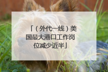 （外代一线）美国最大港口工作岗位减少近半