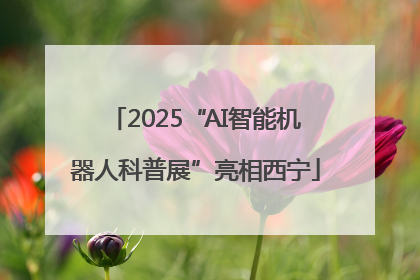 2025“AI智能机器人科普展”亮相西宁