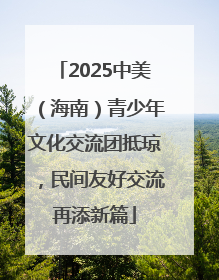2025中美（海南）青少年文化交流团抵琼，民间友好交流再添新篇