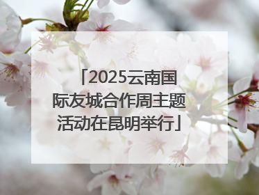 2025云南国际友城合作周主题活动在昆明举行