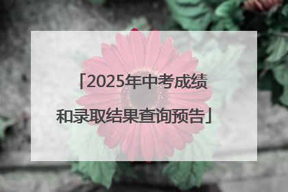 2025年中考成绩和录取结果查询预告