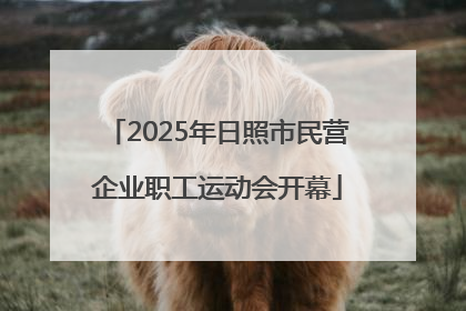 2025年日照市民营企业职工运动会开幕