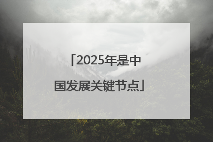 2025年是中国发展关键节点