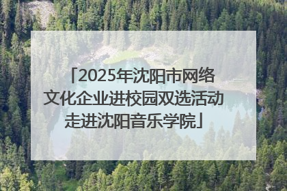 2025年沈阳市网络文化企业进校园双选活动走进沈阳音乐学院
