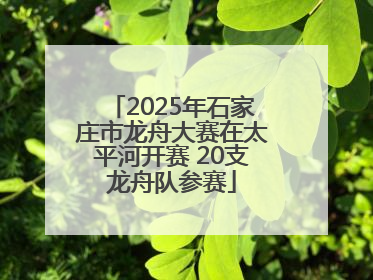 2025年石家庄市龙舟大赛在太平河开赛 20支龙舟队参赛