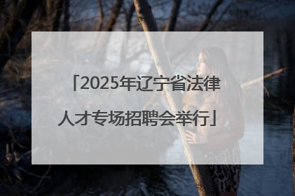 2025年辽宁省法律人才专场招聘会举行