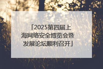 2025第四届上海网络安全博览会暨发展论坛顺利召开