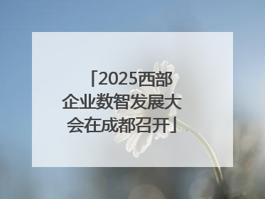 2025西部企业数智发展大会在成都召开