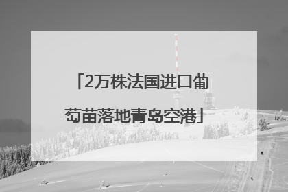 2万株法国进口葡萄苗落地青岛空港