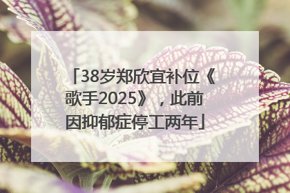38岁郑欣宜补位《歌手2025》，此前因抑郁症停工两年