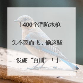 400个消防水枪头不翼而飞，偷这些设施“真刑”！